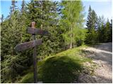 Carbonin - Dürrensteinhütte / Rifugio Vallandro